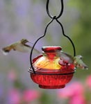 Home and Garden Products